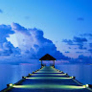 Meet your Posher, Evelyn